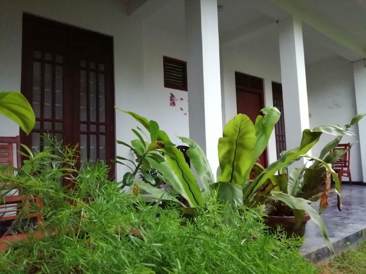 Orchid Villa #10 هيكادوفا المظهر الخارجي الصورة