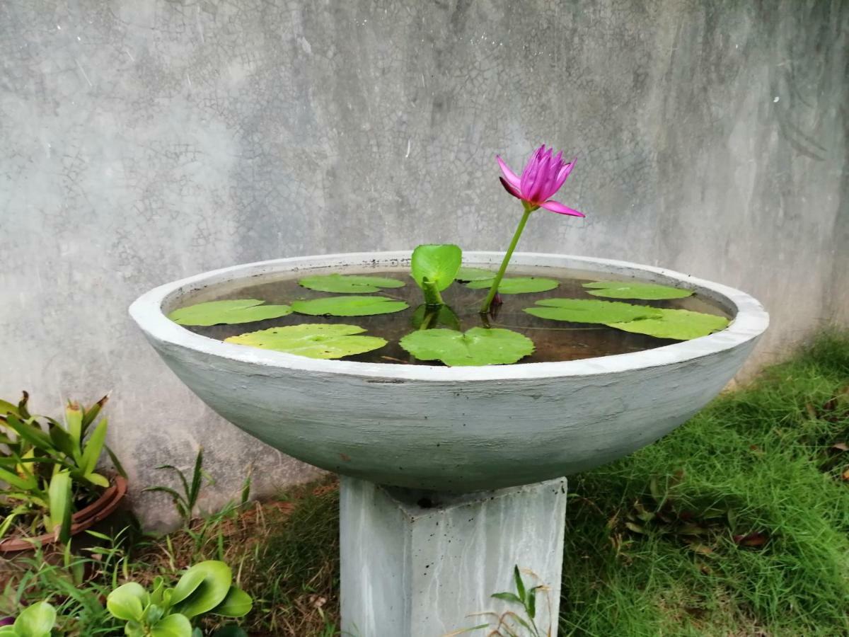 Orchid Villa #10 هيكادوفا المظهر الخارجي الصورة