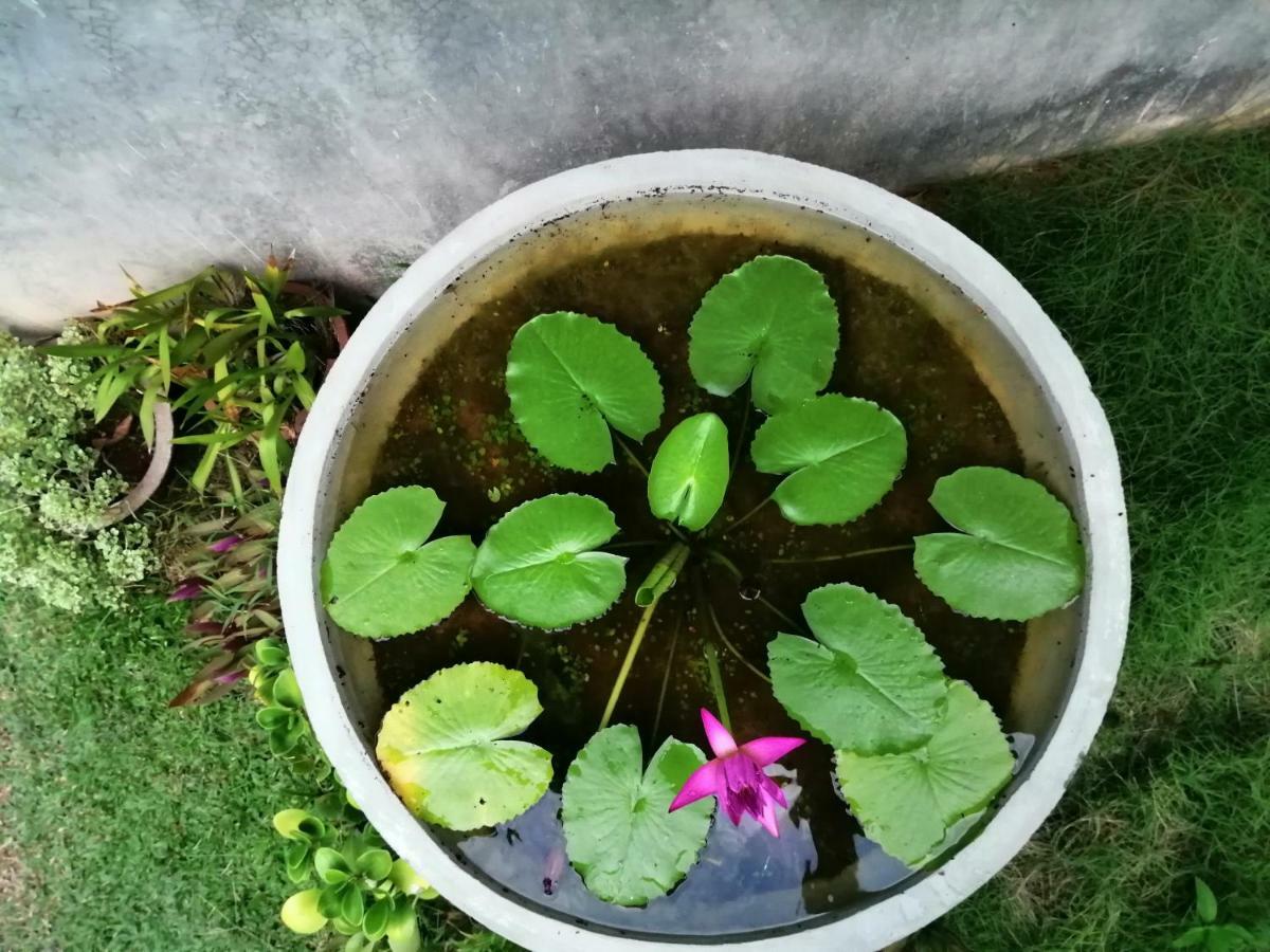 Orchid Villa #10 هيكادوفا المظهر الخارجي الصورة