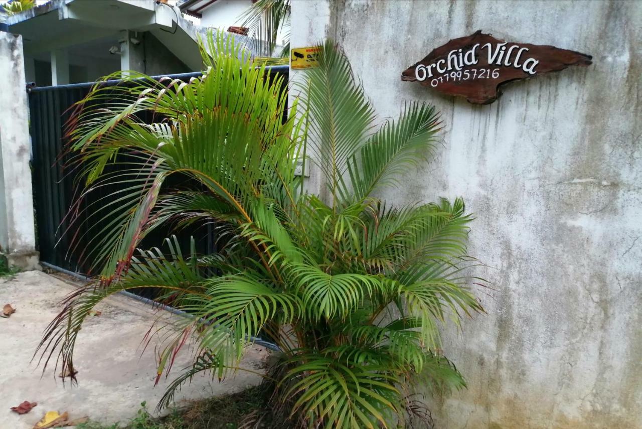 Orchid Villa #10 هيكادوفا المظهر الخارجي الصورة