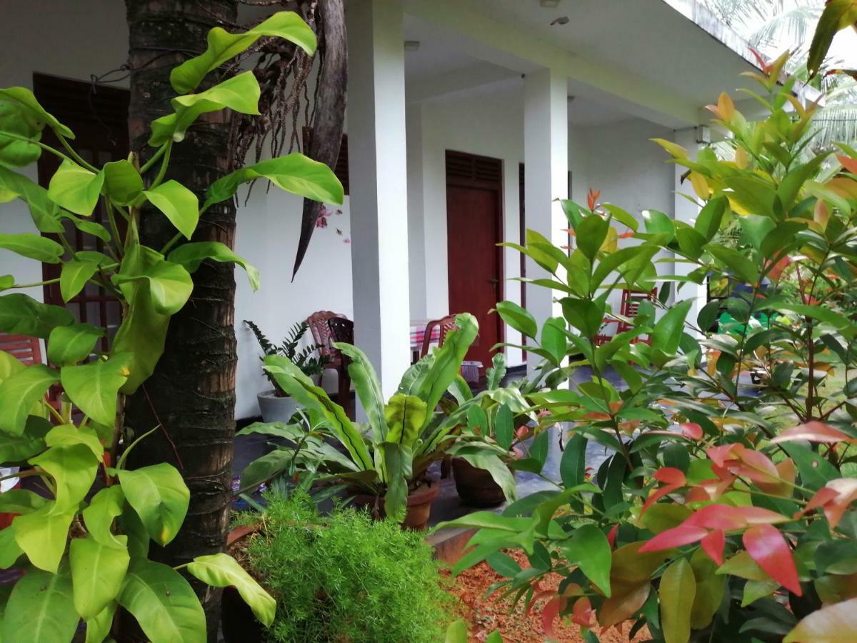 Orchid Villa #10 هيكادوفا المظهر الخارجي الصورة