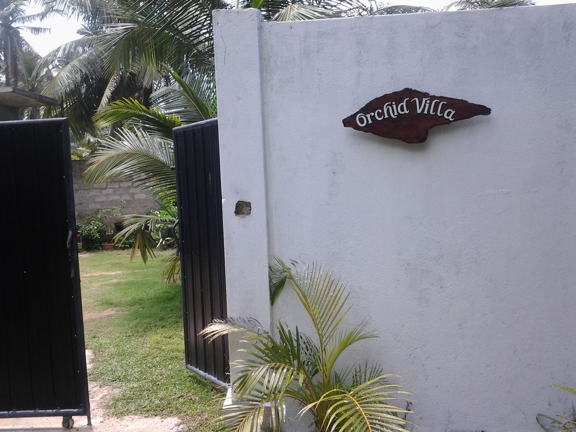 Orchid Villa #10 هيكادوفا المظهر الخارجي الصورة